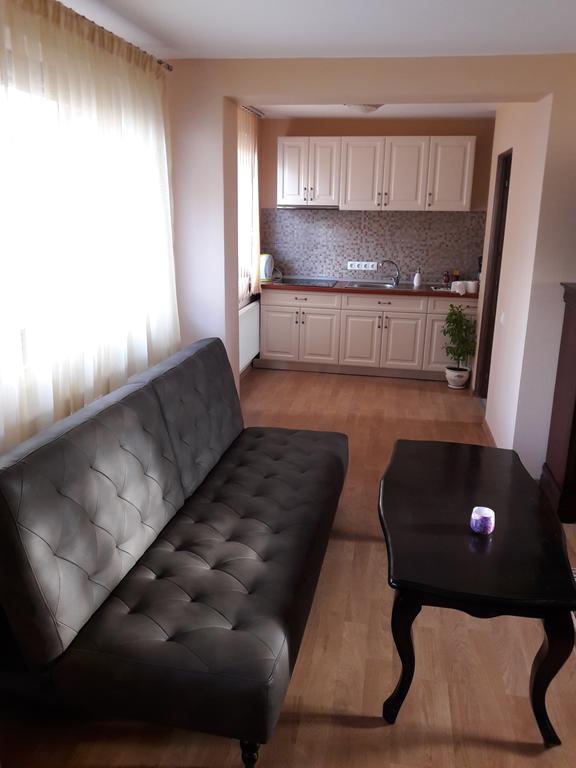 Bogdan'S Apartment Сибиу Экстерьер фото