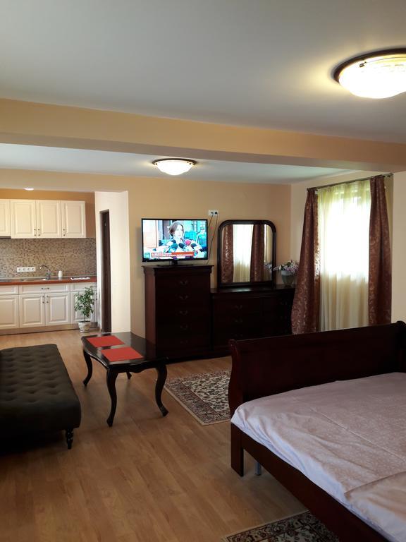 Bogdan'S Apartment Сибиу Экстерьер фото