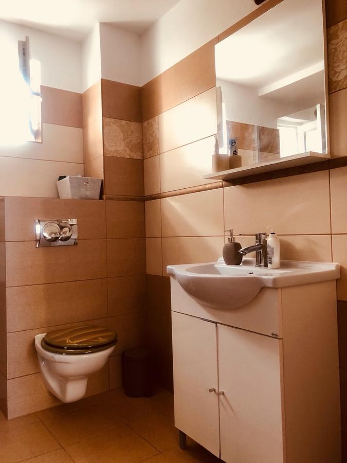Bogdan'S Apartment Сибиу Экстерьер фото